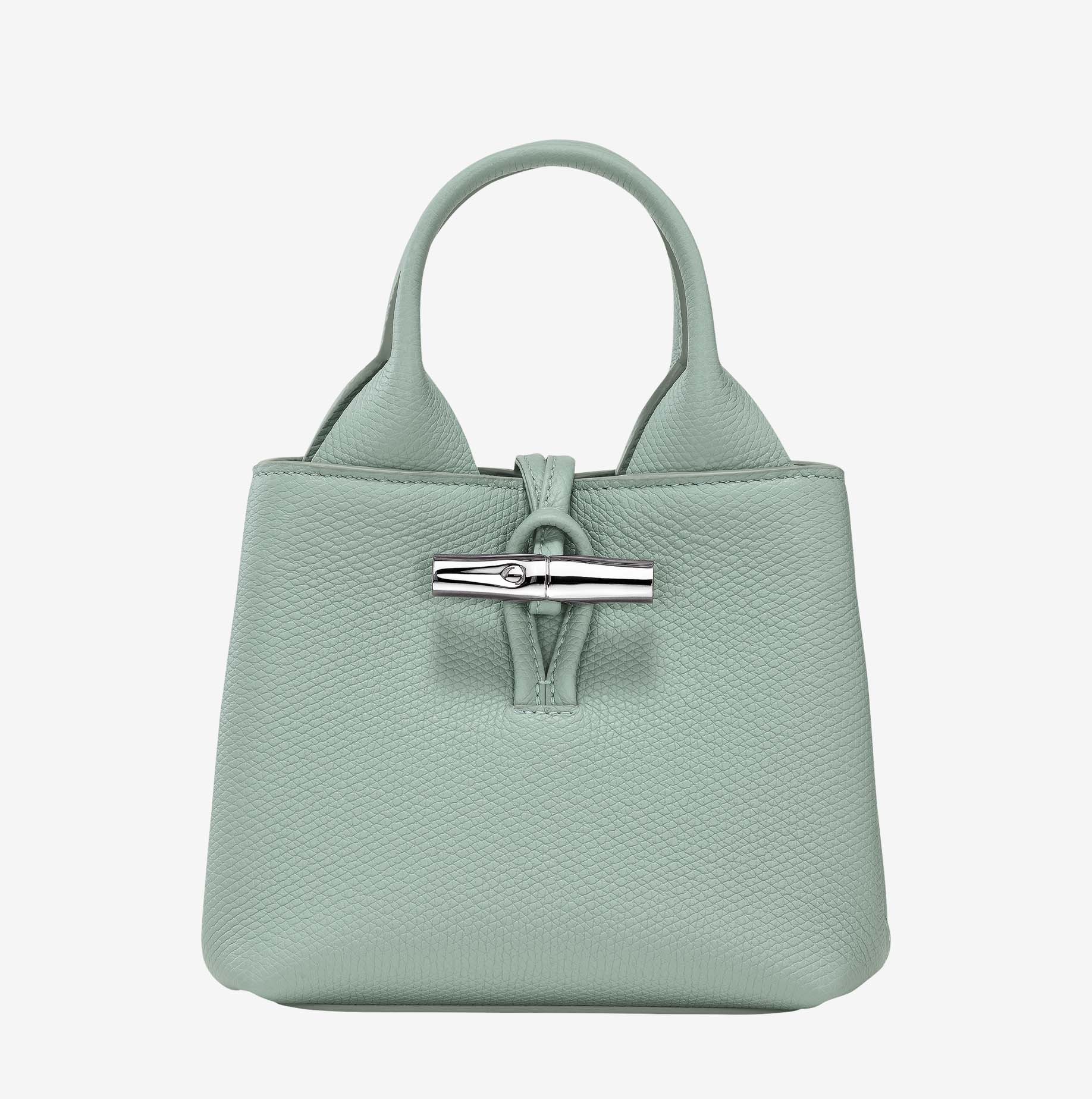 Bolso con asa Longchamp Le Roseau XS verde_01